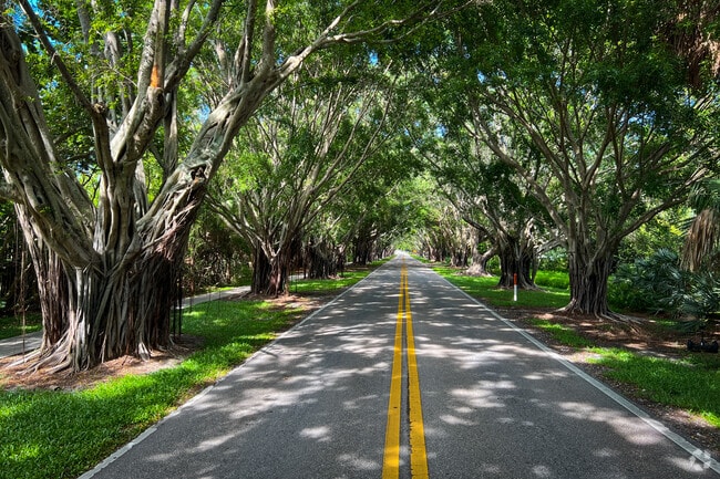 Tree tunnel on Bridge Road to Jupiter Island and Hobe Sound beach.
