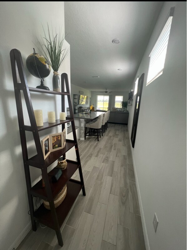 Building Photo - 11831 Brighton Knoll Loop