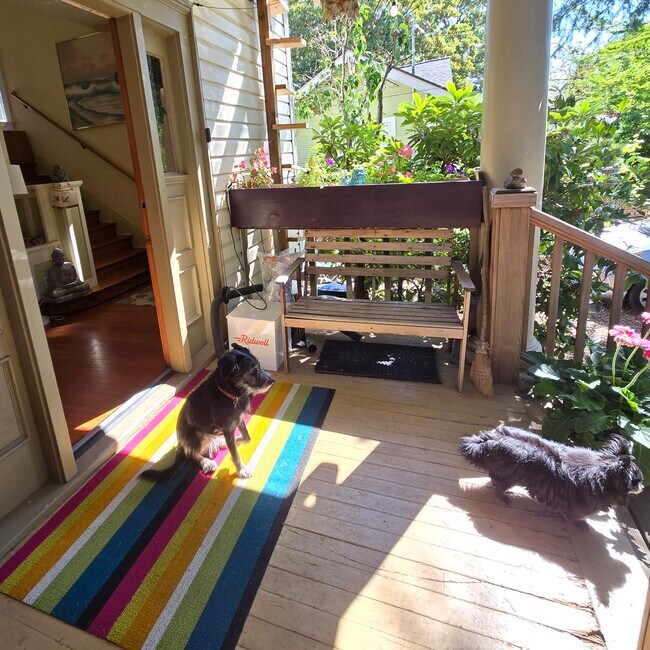 Dogs and front door to entry - 555 N Simpson St