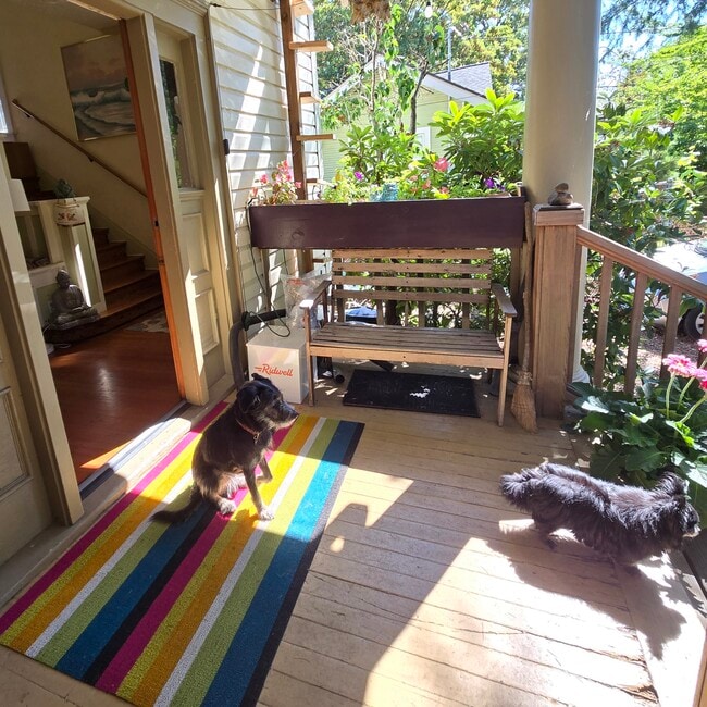 Dogs and front door to entry - 555 N Simpson St