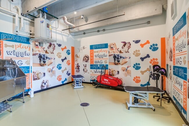 Pet Spa - 5 Points Northshore