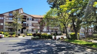 Building Photo - 1438 Mediterranean Ave