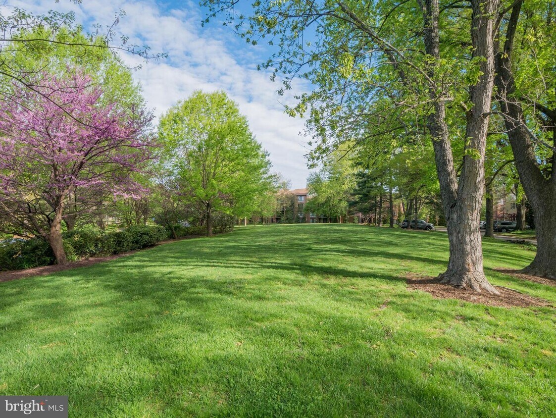 Foto principal - 11713 N Shore Dr