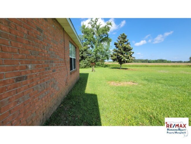 Building Photo - Nice 3/2 with 1 Acre!