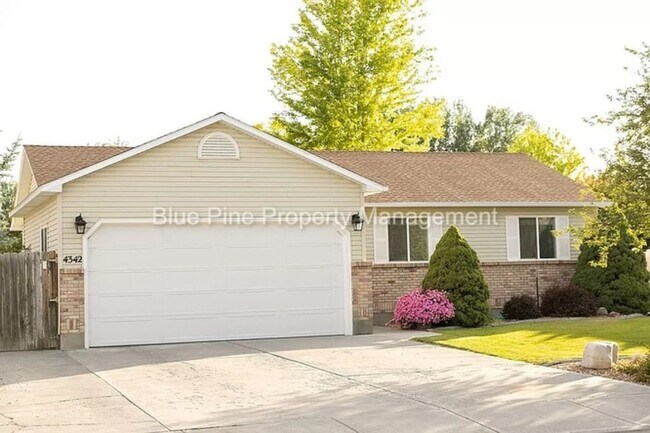 Foto del edificio - 4342 Williamsburg Ln