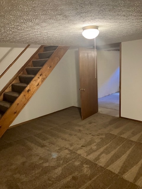 Basement - 5365 Shiloh Dr