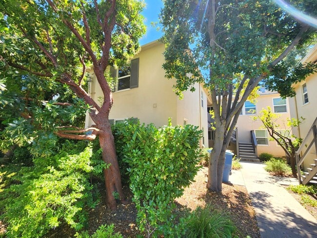 Building Photo - Luxurious Downtown Palo Alto Living - Top ...
