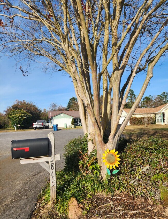 Foto del edificio - Adorable back yard in Gulf Shores - 3/2