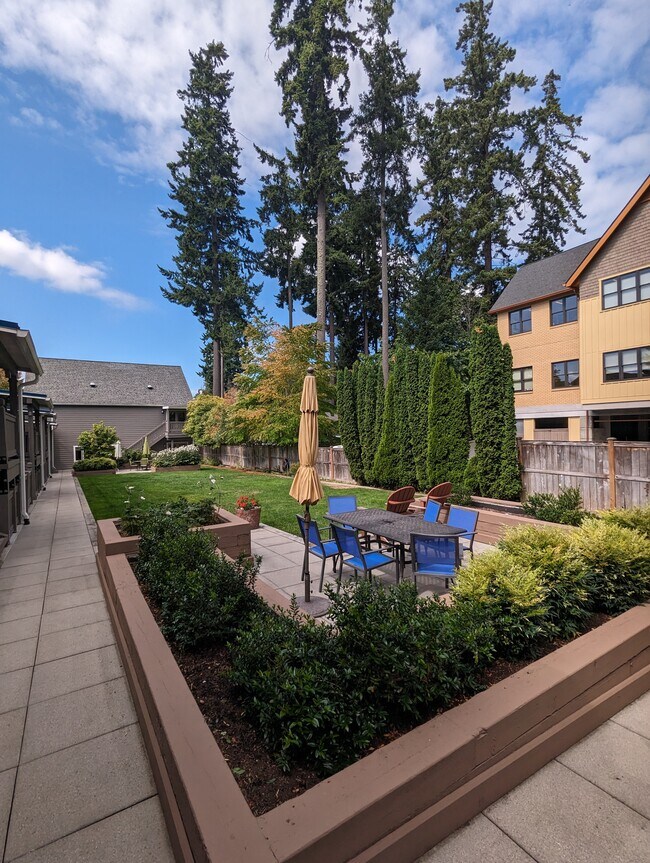 Grassy common area with seating and flower beds - 284 Madrona Way NE