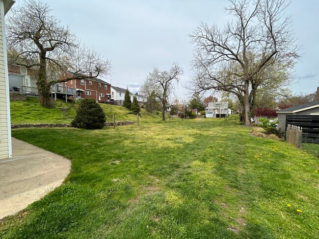 Patio interior - 505 Hawke St