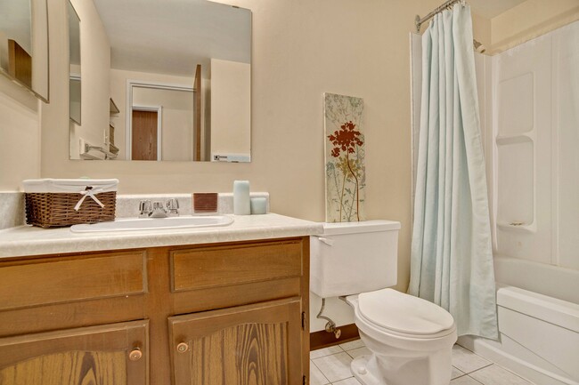 A bathroom with shower, tub, and a mirror above the sink - Ventana