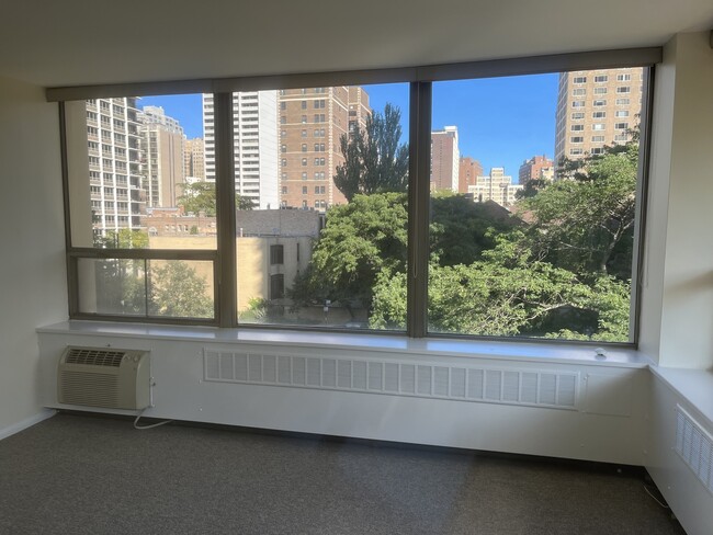 Foto del edificio - 1360 N Sandburg Terrace
