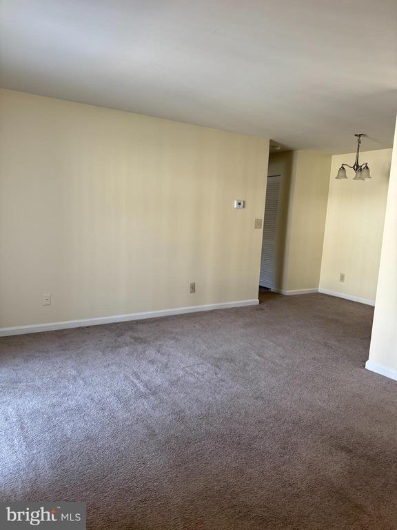 Foto del edificio - 41 Smokewood Ct