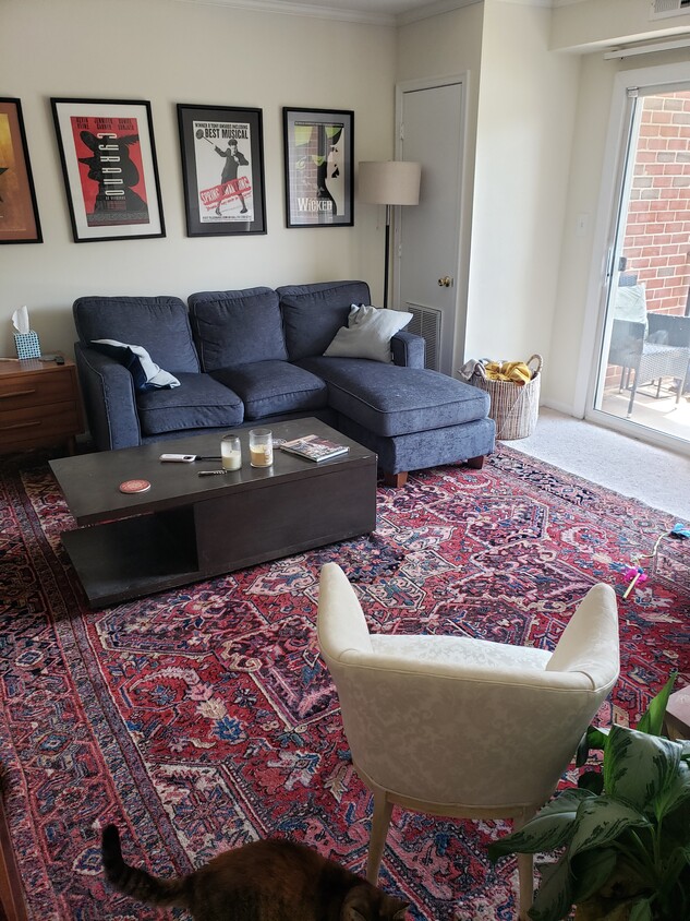 Foto principal - 105 Ivy Dr