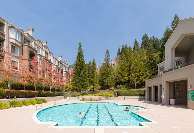 Piscina y edificios - 240 Caldecott Ln