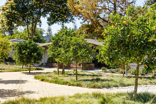 Building Photo - Madrone