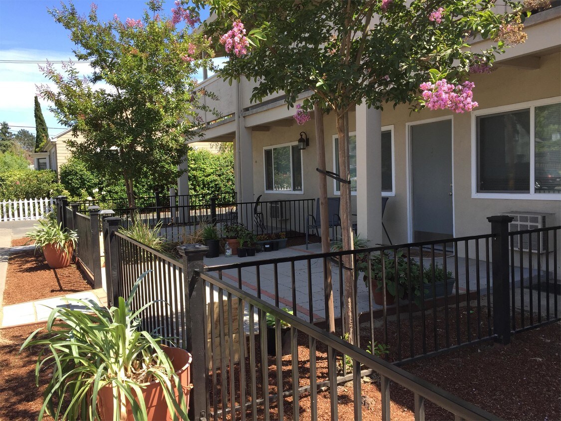 560 Dexter St Unit P, Santa Rosa, CA 95404 Apartment for Rent in