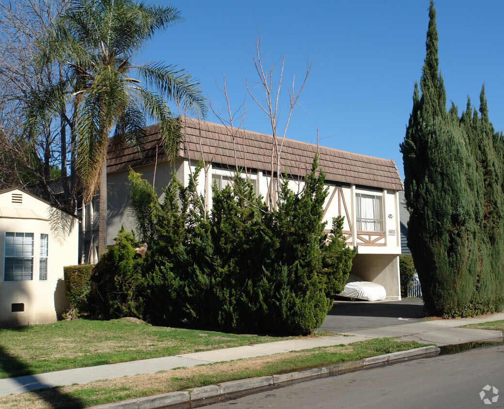 tree obstruction - 10855 Morrison St