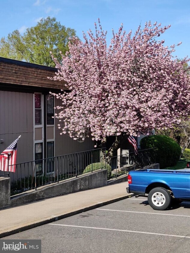 Foto del edificio - 8500 Barrington Ct