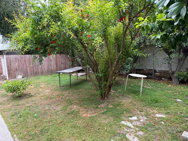Patio - 520 Porter St
