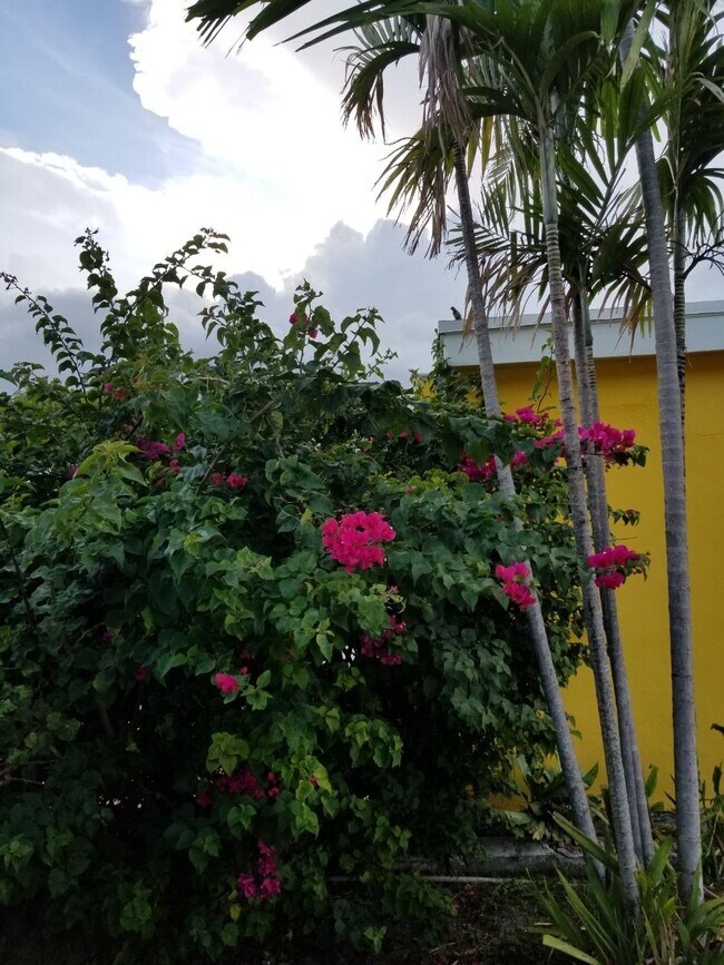 Foto del edificio - 6464 W 12th Ave