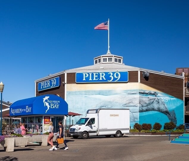 Pier 39 contains shops, restaurants, and a variety of entertainment