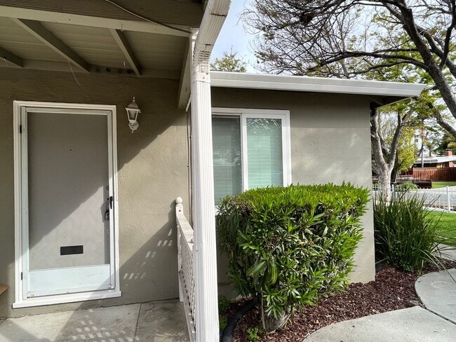 Building Photo - 1481 San Juan Ave