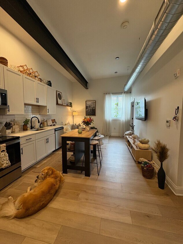 *AVAILABLE 10/10/2025* New One Bedroom w/... - *AVAILABLE 10/10/2025*  New One Bedroom w/...