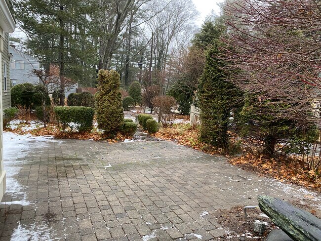 Patio en el patio trasero - 54 Bowden Ave