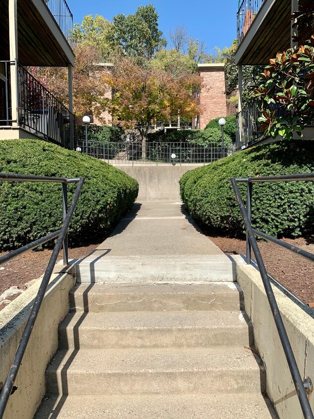 805 Delta Ave Unit 2B, Cincinnati, OH 45226 Condo for Rent in