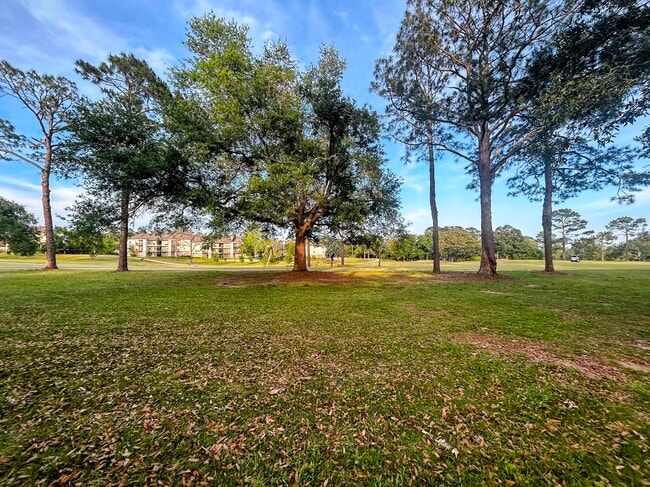 Foto del edificio - 2729 Blair stone Ln