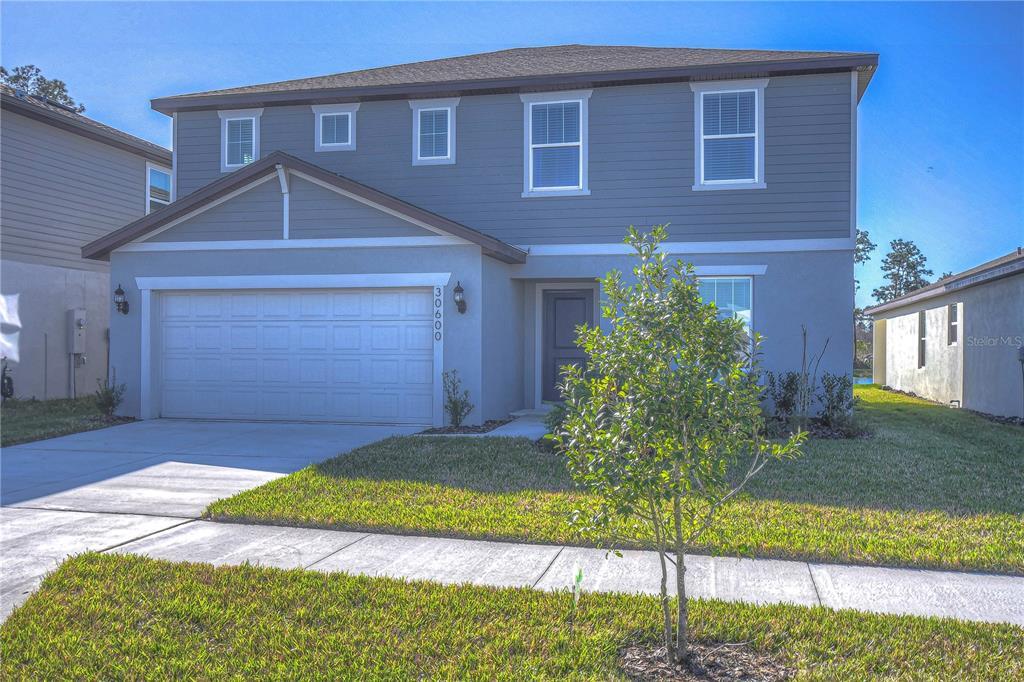 30600 Thunderbird Dr, Wesley Chapel, FL 33545 House for Rent in