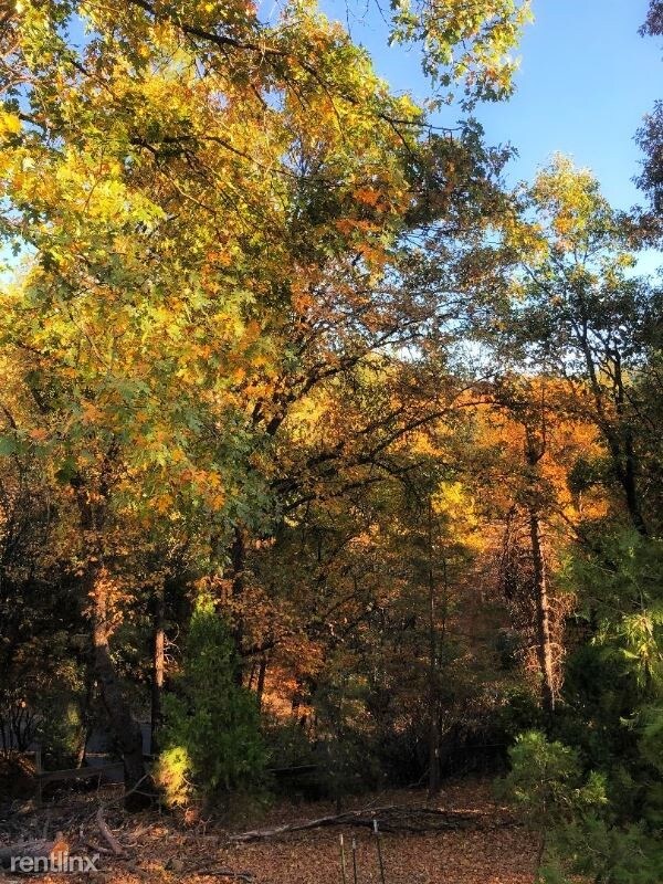 Foto del edificio - 3 br, 2 bath House - 22607 Wildcat Ridge Rd