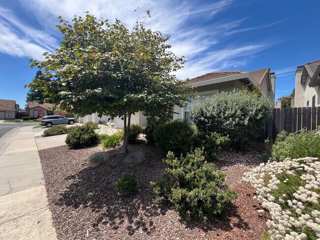 Foto del edificio - Spacious Single Story 3 Bd, 2 Ba Home in S...