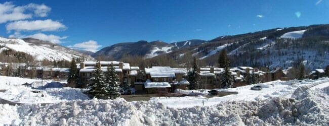 Foto del edificio - 1020/1-1021 Vail View Dr