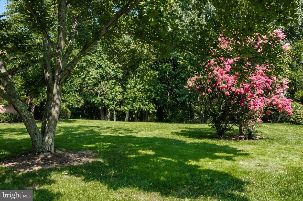 Foto principal - 709 Meadow Woods Ln
