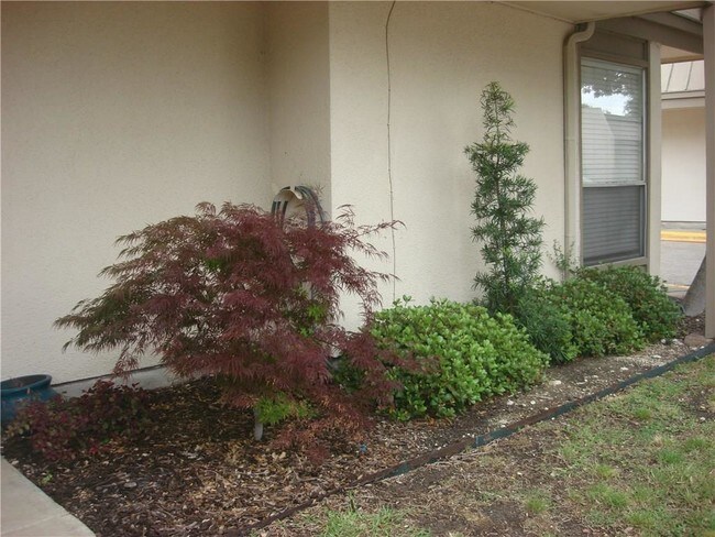 Foto del edificio - 1802 Place One Ln