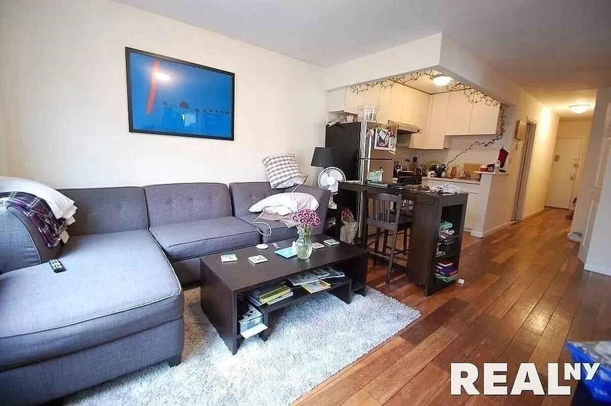133 Ludlow Street Apartment for Rent in New York, NY