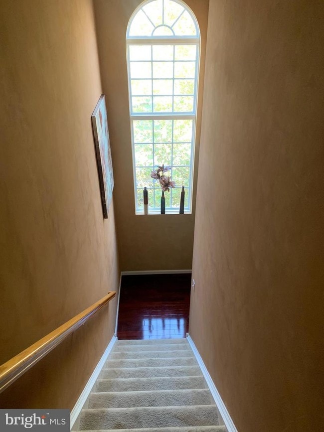 Building Photo - 10 Old Stock Ln