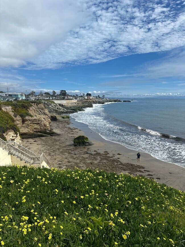 Building Photo - 337 Alta Ave