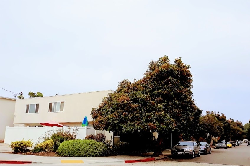 Primary Photo - 3704 Promontory St