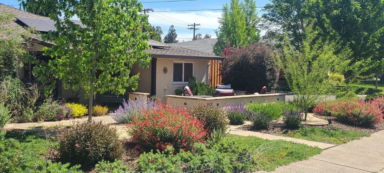 EAST SAC - FURNISHED - EAST SAC - FURNISHED