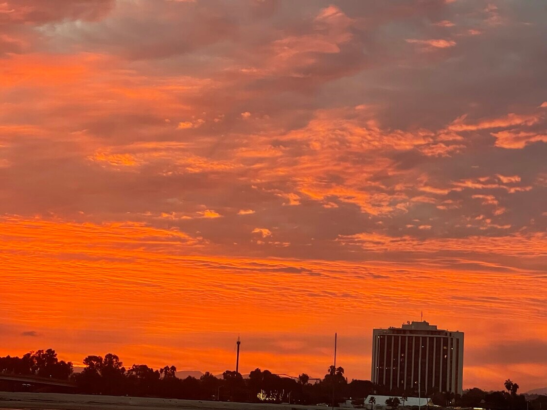 109 Cheap Apartments for Rent in Mission Beach, CA Westside Rentals