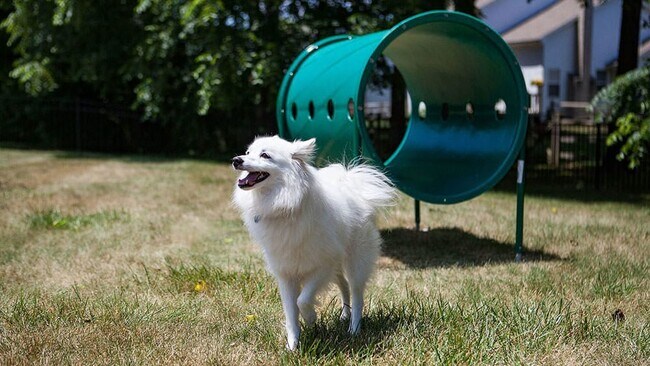 Foto del edificio - Brooksedge