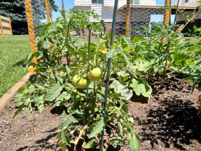 Building Photo - 8840 W Jewell Ave