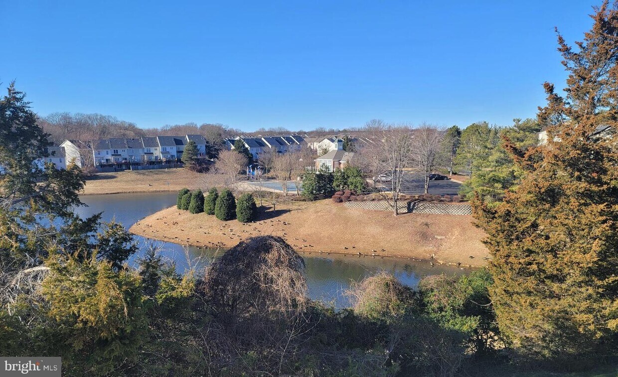 14154 Cuddy Loop Unit 302, Woodbridge, VA 22193 Room for Rent in