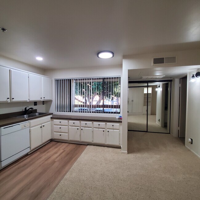 Double-sided mirrored closet - 351 N Ford Ave
