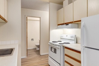 Building Photo - South Ridge Apartments