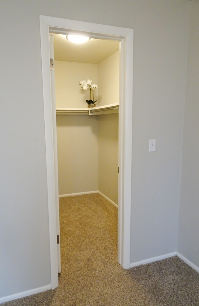 Walk-in Closet - Ivy Apartment Homes