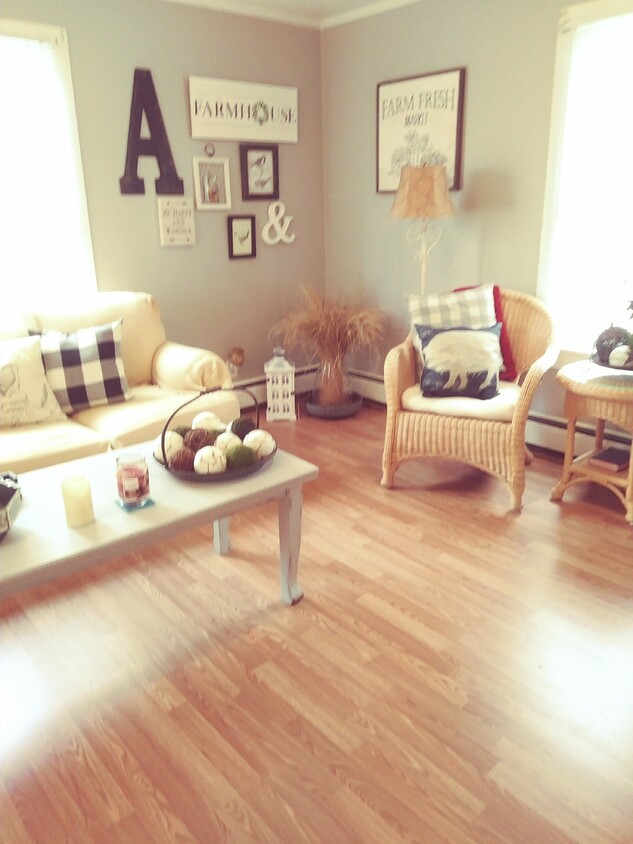 Large & bright living room - 235 1/2 Maple Ave